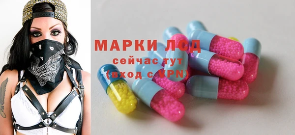 ГАЛЛЮЦИНОГЕННЫЕ ГРИБЫ Арсеньев
