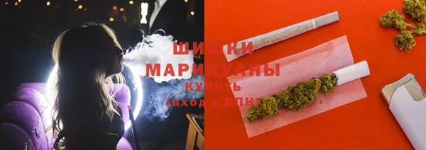 ГАЛЛЮЦИНОГЕННЫЕ ГРИБЫ Арсеньев