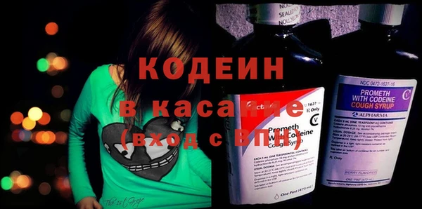 ГАЛЛЮЦИНОГЕННЫЕ ГРИБЫ Арсеньев