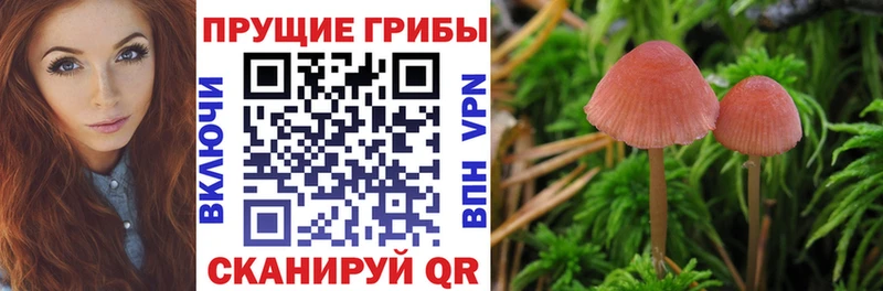 Галлюциногенные грибы Magic Shrooms  Бавлы 